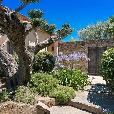 Blue Med Saint Tropez