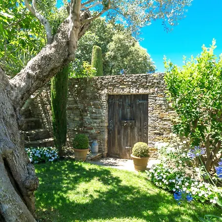 Blue Med * Saint-Tropez