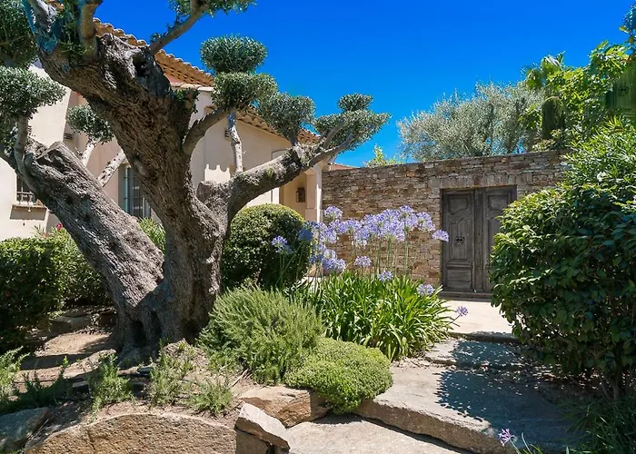 Blue Med Saint-Tropez