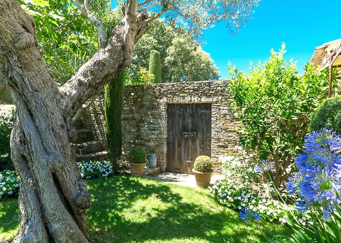 Blue Med * Saint-Tropez